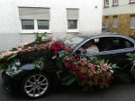 Blumencorso Bad Ems (Dld) 2014